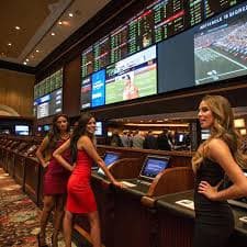 Pengguna dewasa membaca panduan galaxybet88